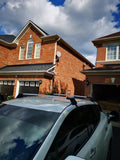 Nissan Leaf Aluminum Roof Rack Crossbar